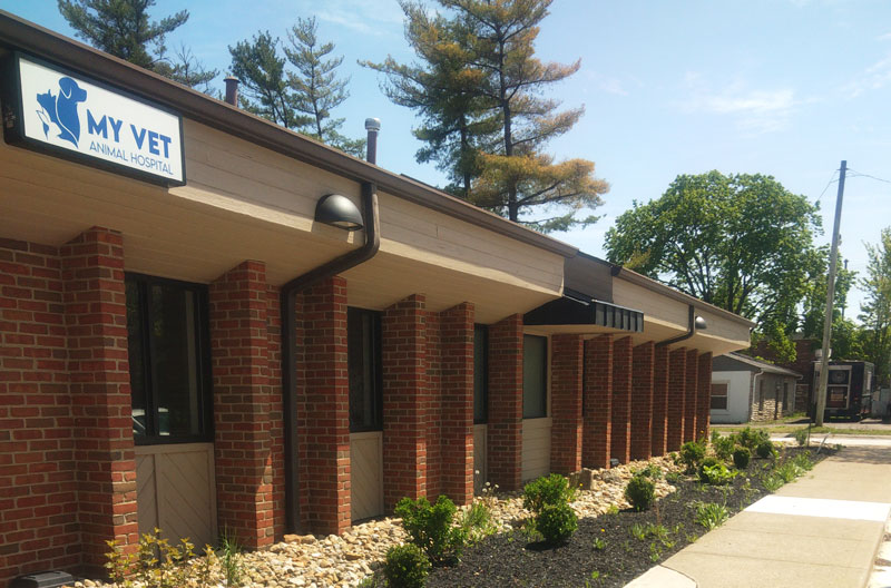 Arco Fuel Station & C-Store